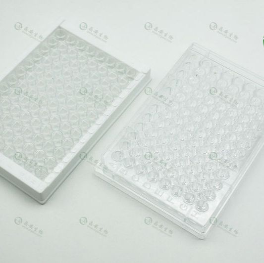 上海晶安PDL多聚赖氨酸预包被6孔12孔24孔96孔细胞培养板