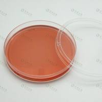 上海晶安PDL多聚赖氨酸预处理细胞培养皿35mm60mm100mm