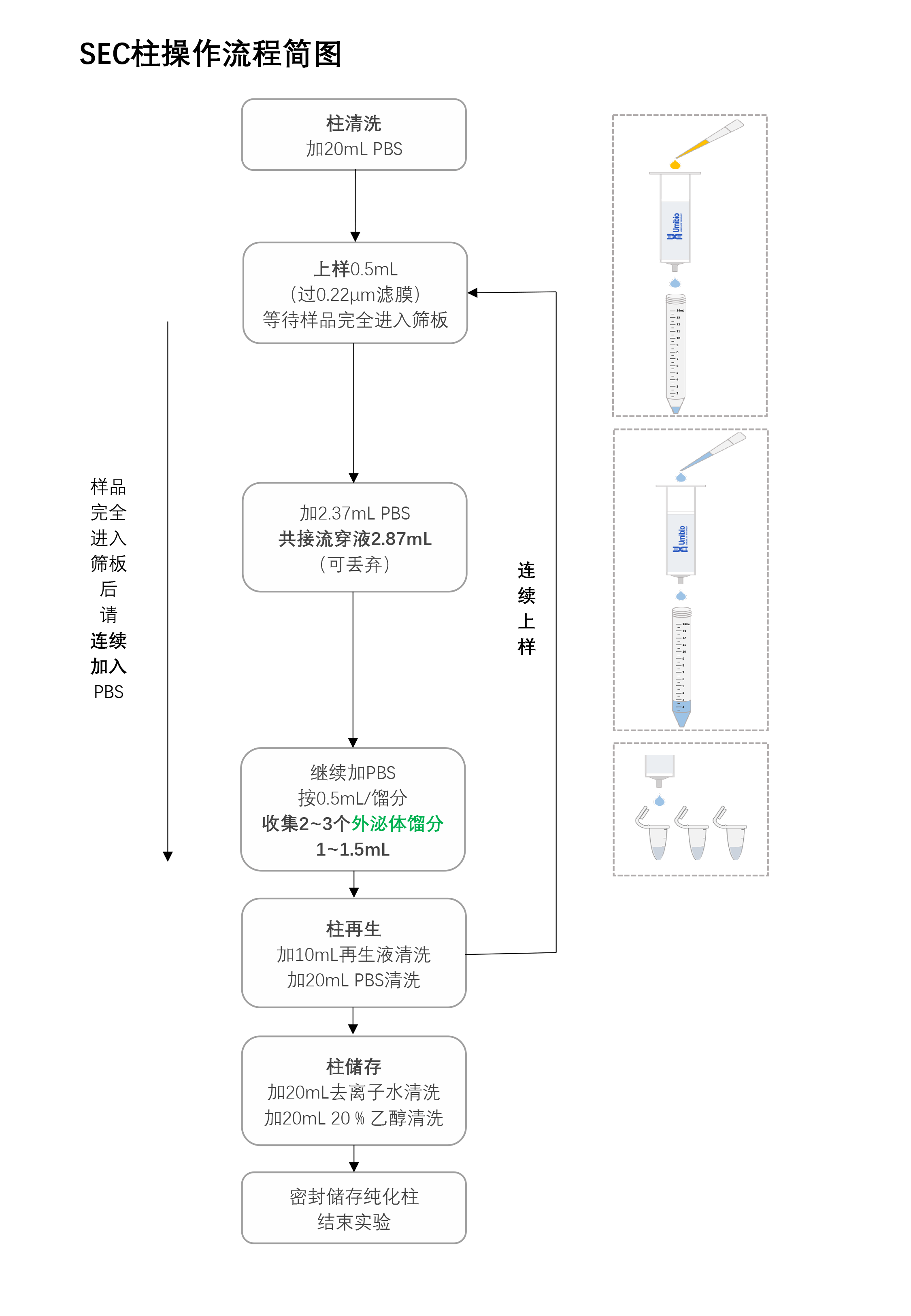 ExoPura® Basic 外泌体纯化柱试剂盒
