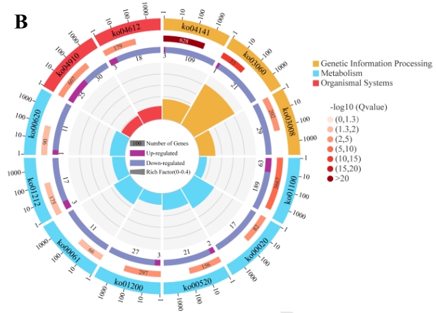 研究思路 | 多组学专题——如何进行转录组+蛋白组关联分析？