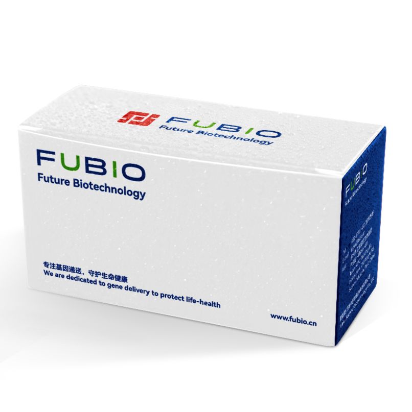 干扰腺病毒包装（定制）