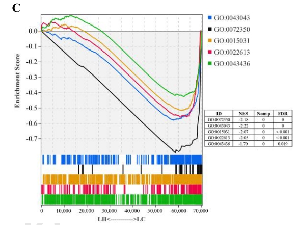 研究思路 | 多组学专题——如何进行转录组+蛋白组关联分析？