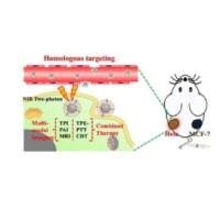 宫颈癌Hela细胞膜修饰聚多巴胺(PDA)纳米颗粒