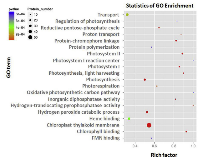 研究思路 | 多组学专题——如何进行转录组+蛋白组关联分析？