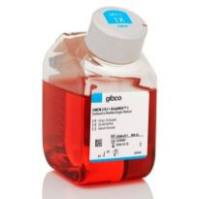 DMEM 高糖 GlutaMAX 添加剂 HEPES Gibco 10564037 5L