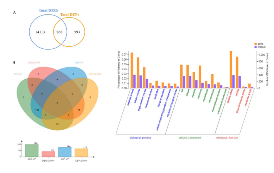 研究思路 | 多组学专题——如何进行转录组+蛋白组关联分析？