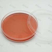 上海晶安纤维粘连蛋白预处理35mm60mm细胞培养皿