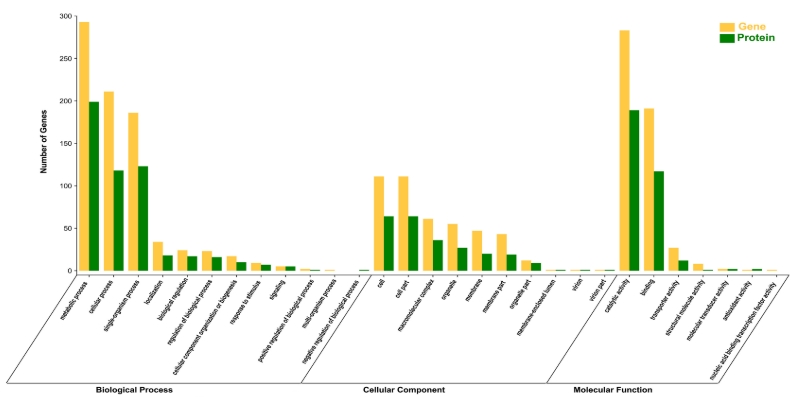 研究思路 | 多组学专题——如何进行转录组+蛋白组关联分析？
