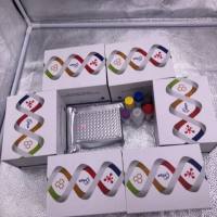 人乳腺癌标志物-CA153ELISA检测试剂盒提供代测服务