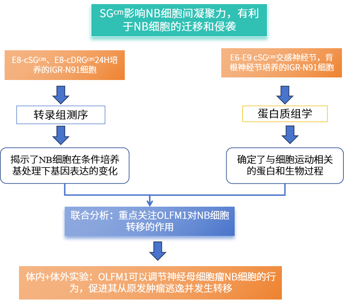 研究思路 | 多组学专题——如何进行转录组+蛋白组关联分析？