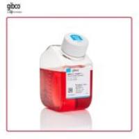 10566024 Giboc DMEM 高糖 GlutaMAX 添加剂 10 x 500 mL