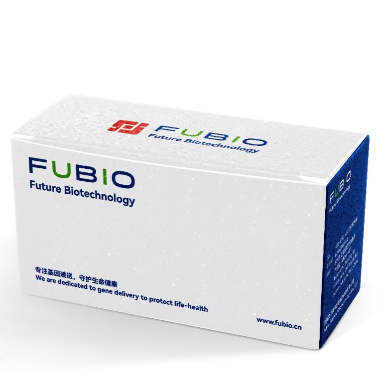 分子检测质控品（HPV44假病毒）