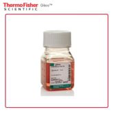 Gibco RPMI 1640 培养基 HEPES 22400089 500 mL