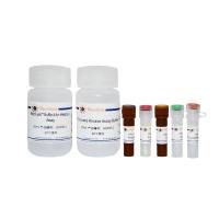 Amplex Red丙 酮酸激酶检测试剂盒