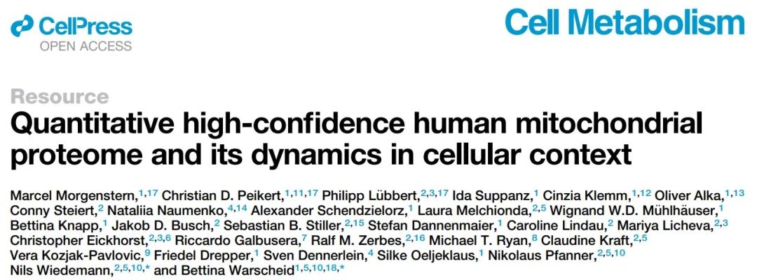 揭秘线粒体：从蛋白质组学到疾病治疗的突破之路