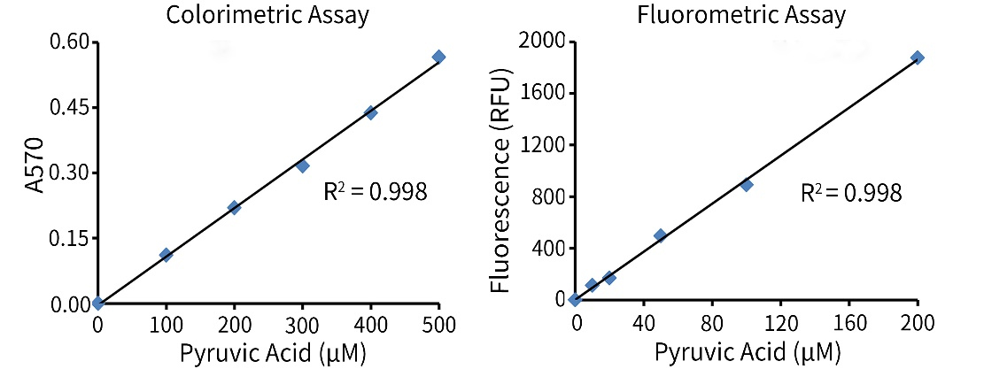 Amplex Red丙 酮酸检测试剂盒