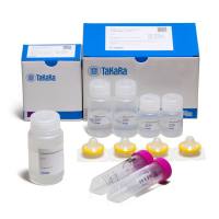 AAV载体浓缩试剂 AAVpro® Concentrator