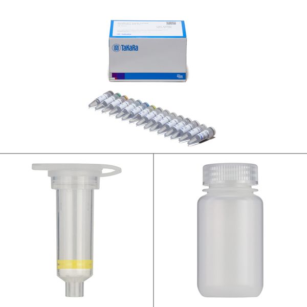 基因敲入用长单链DNA制备 v2Guide-it™ Long ssDNA Production System v2