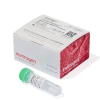 Lipofectamine™ MessengerMAX™ 转染试剂，LMRNA015-1.5mL