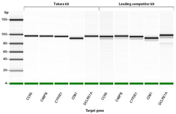 sgRNA体外转录和筛选Guide-it™ sgRNA Sc