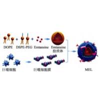 巨噬细胞膜修饰包裹 emtansine的脂质体