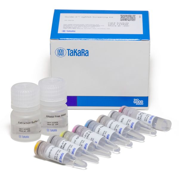 sgRNA体外转录和筛选Guide-it™ sgRNA Screening Kit