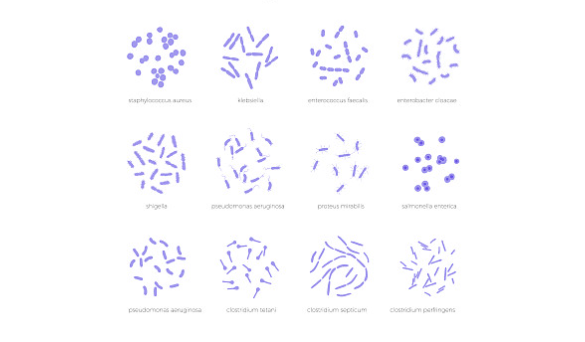 细菌基因组DNA提取实验准备