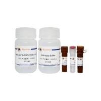 琥珀酸脱氢酶活性检测试剂盒(显色法)