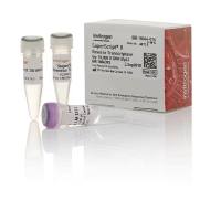 SuperScript ™II 反转录酶,18064014-10000units