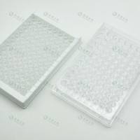 上海晶安I型IV型胶原蛋白预包被的96孔板12孔板24孔板