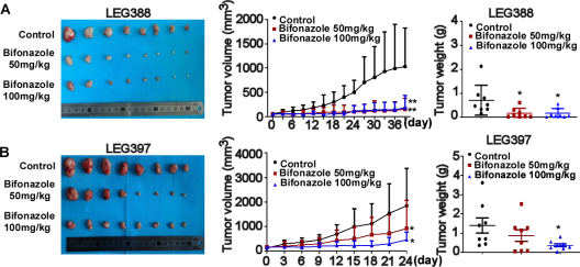 郑州大学团队发现联苯苄唑通过靶向HuR/RRM2轴抑制ESCC增殖的分子机制
