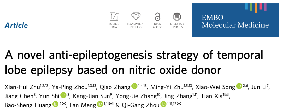 EMBO MOL MED|一氧化氮供体：颞叶癫痫治疗的新希望