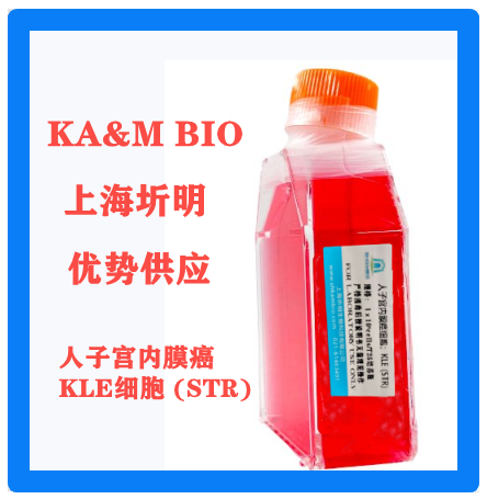 人子宫内膜癌细胞;KLE(圻明细胞库ATCC引种代购)
