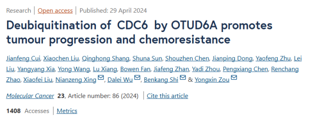 山东大学齐鲁医院等团队揭示CDC6蛋白的去泛素化机制