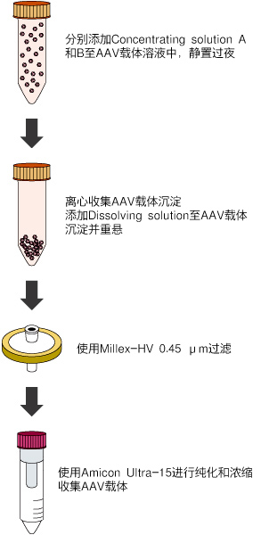 AAV载体浓缩试剂 AAVpro® Concentrator