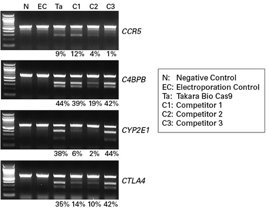 重组Cas9蛋白质Guide-it™ Recombinant