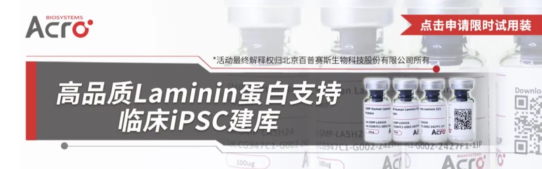【双重工艺】高品质Laminin蛋白支持临床iPSC建库