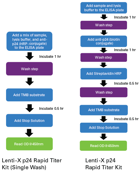 慢病毒滴度测定Lenti-X™ p24 Rapid Tite