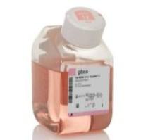 GIbco 51985034 Opti-MEM I 减血清培养基 GlutaMAX 添加剂 500 mL 现货