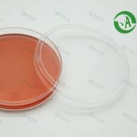 上海晶安明胶预包被细胞培养皿35mm60mm100mm