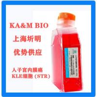 KLE细胞专用培养基