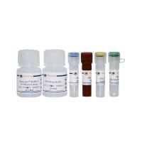 乙醇脱氢酶活性检测试剂盒(WST-8法)