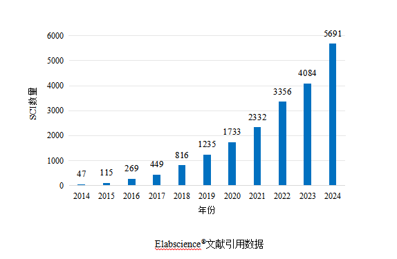 Elabscience® 2024年度文献盘点:全年引用5691篇,最高IF达50.5