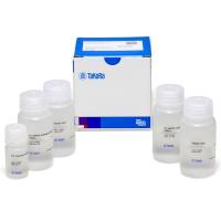 磷酸钙转染CalPhos™ Mammalian Transfection Kit