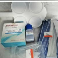 兰州乳房炎(CMT)检测试剂盒