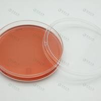 上海晶安纤维粘连蛋白预包被35mm60mm100mm细胞培养皿