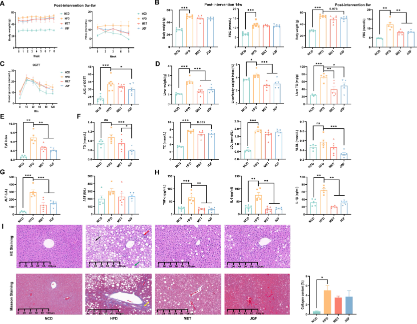 项目文章 | 单细胞测序+空间转录组 挖掘JQF对非酒精性脂肪肝的治疗潜能