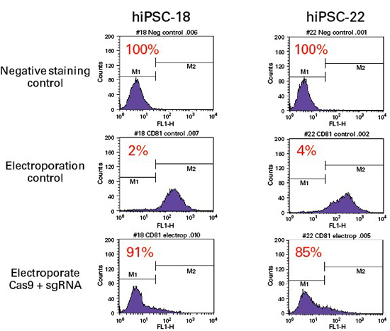 重组Cas9蛋白质Guide-it™ Recombinant