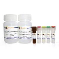 Amplex Red磷酸盐检测试剂盒