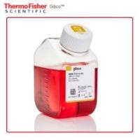 11330057 Gibco DMEM/F-12 HEPES 培养基 10x500 mL